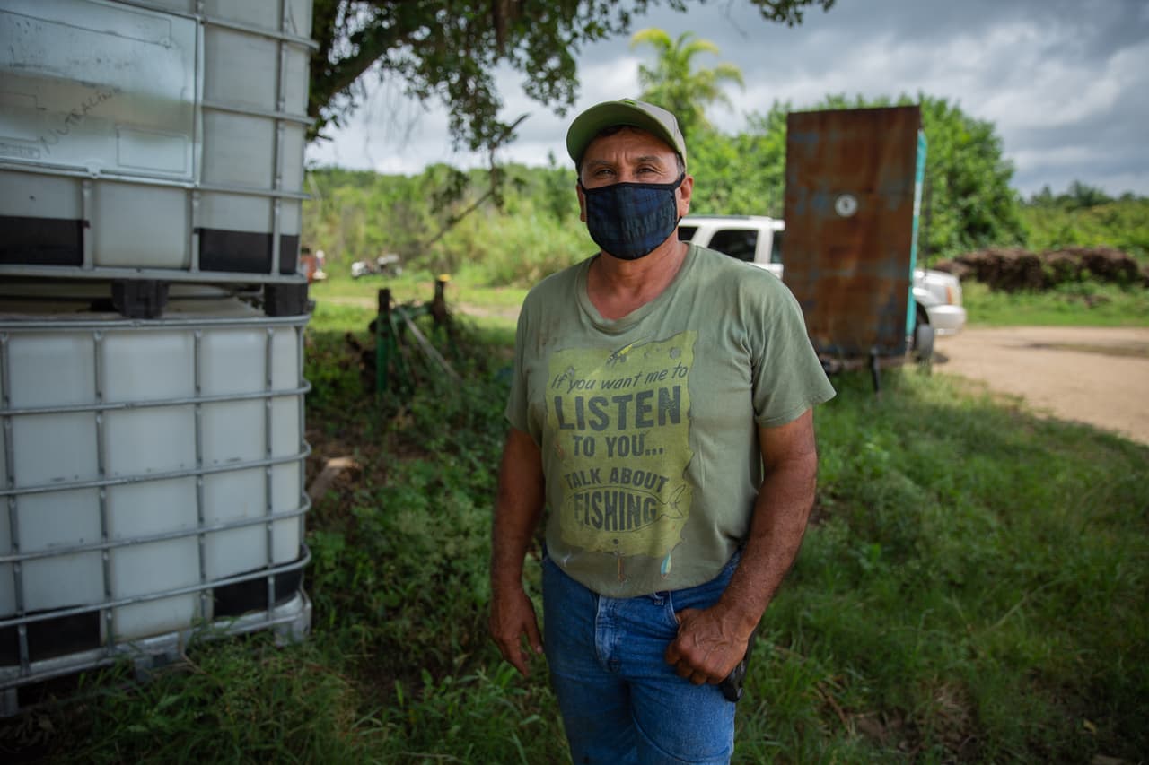 <b>El golpe de la crisis en un campo de berenjena -</b> Francisco Maldonado, un mexicano que migró en 1985, es el encargado de este campo donde se cultivan berenjenas. Con la crisis, Francisco también perdió temporalmente clientes en Nueva York, Nueva Jersey y Connecticut, sus principales mercados. "Cuando eso cerró por allá arriba, las empacadoras aquí tuvieron que cerrar y no podían recibir productos. Entonces nosotros teníamos que siempre mantener cierta cantidad de parcelas para cortar diariamente. Y al no poderlas cortar, tuvimos que cancelar todo", explicó.