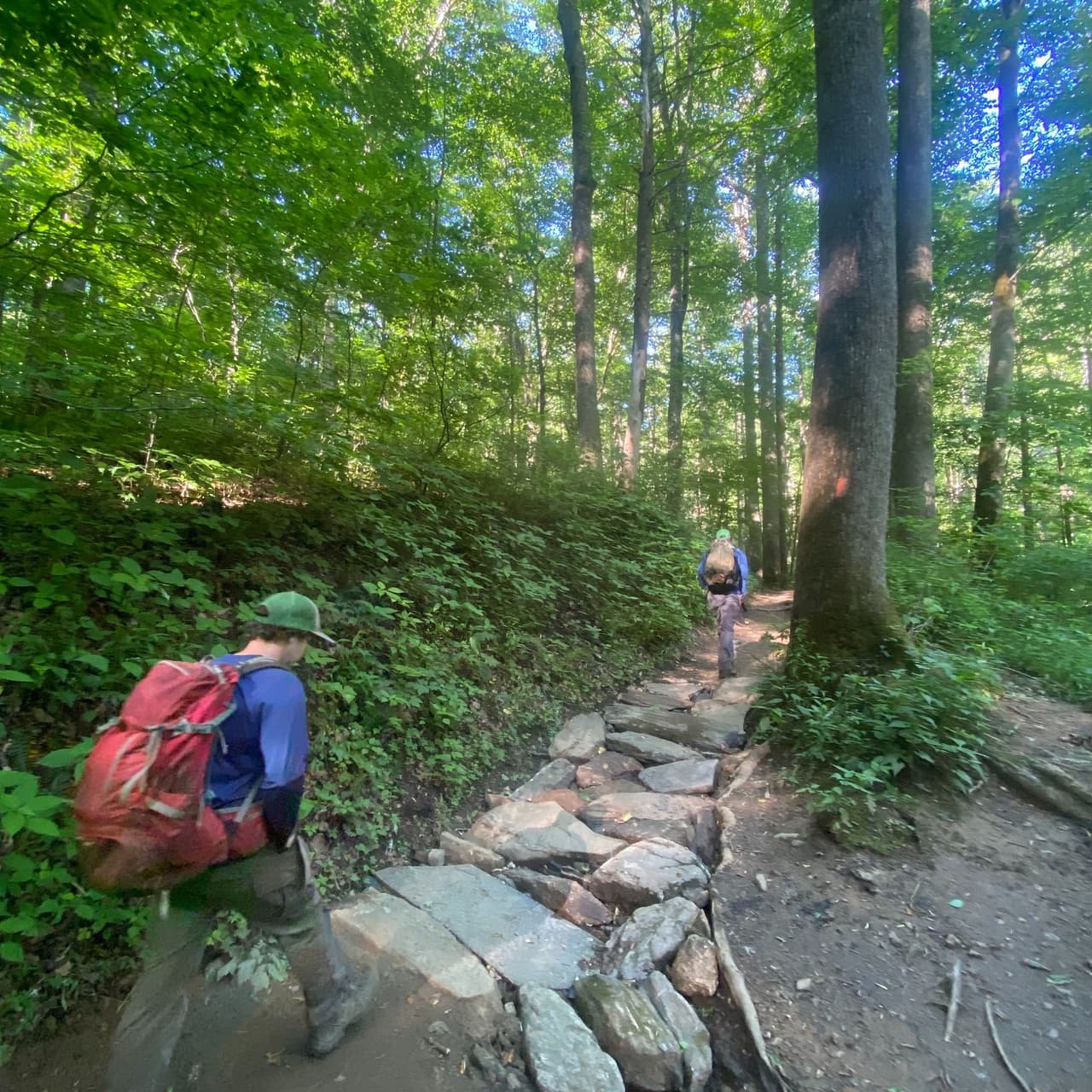 <b>Pisgah National Forest</b>: 
<br>
<b>Sitio web</b>: 
<a href="https://www.fs.usda.gov/recarea/nfsnc/recarea/?recid=48114">https://www.fs.usda.gov/recarea/nfsnc/recarea/?recid=48114</a> 
<br>
<a href="https://maps.app.goo.gl/oZqHMNmfbpdCBXCf9"><b>Cómo llegar</b></a>
<b> </b>
<br>
<br>El Bosque Nacional Pisgah es una tierra de montañas altas, cascadas y laderas densamente arboladas. Con una superficie de más de 500.000 acres, Pisgah es principalmente un bosque frondoso con ríos de aguas bravas, cascadas y cientos de kilómetros de senderos.