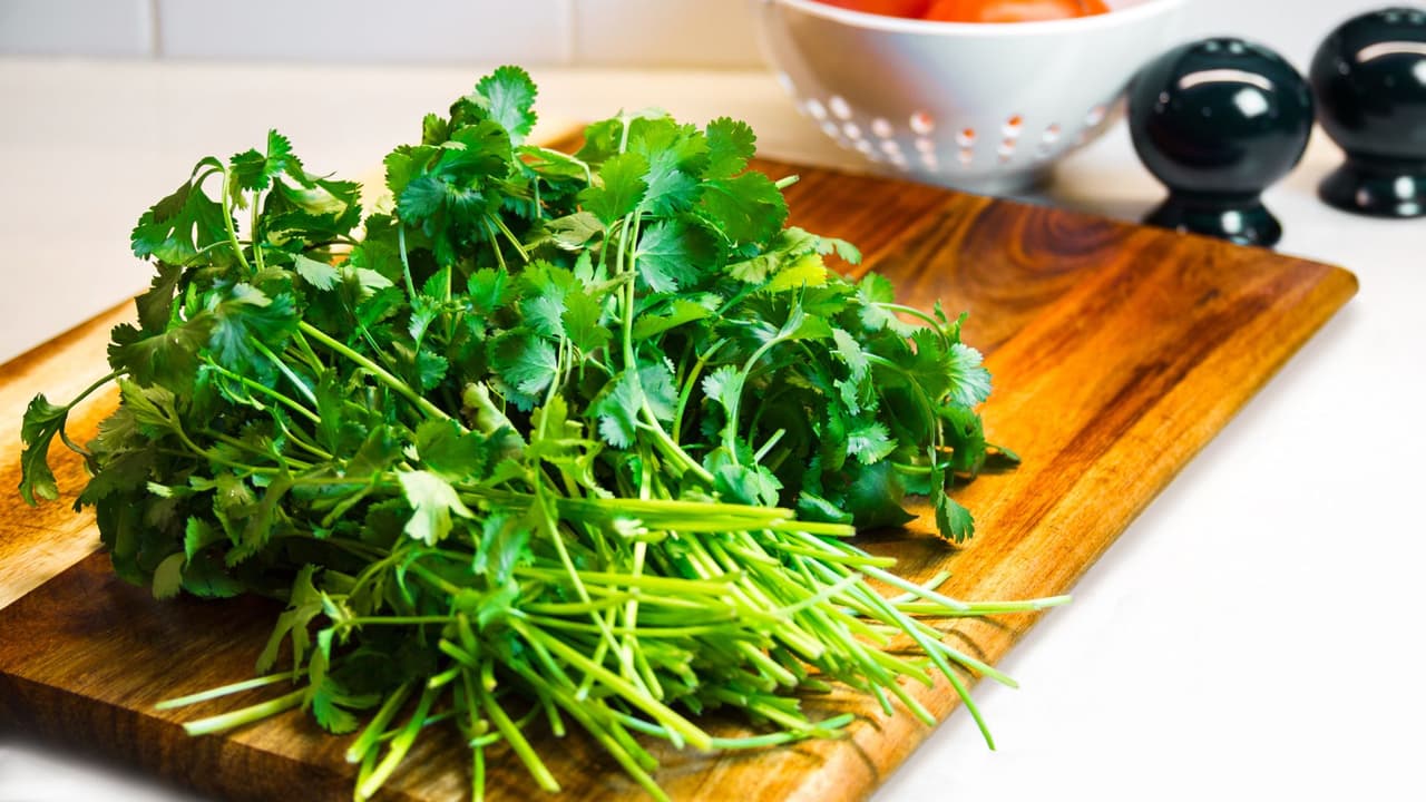 Truco para guardar y conservar el cilantro fresco por más tiempo