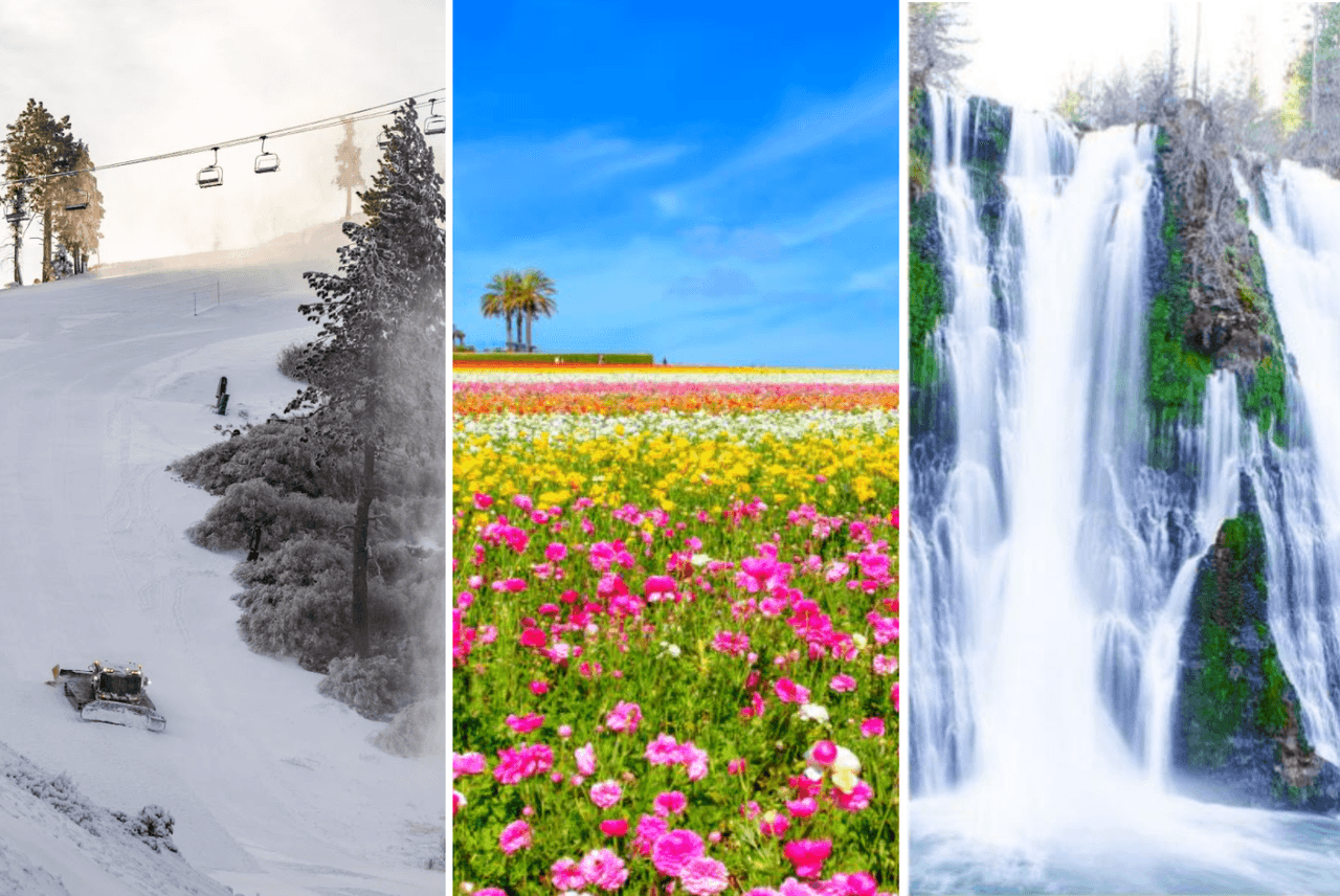La versatildad de la geografía y microcimas de California te permitirán disfrutar desde hermosas playas, rios, lagos, lagunas y hasta nieve en viajes muy cortos.