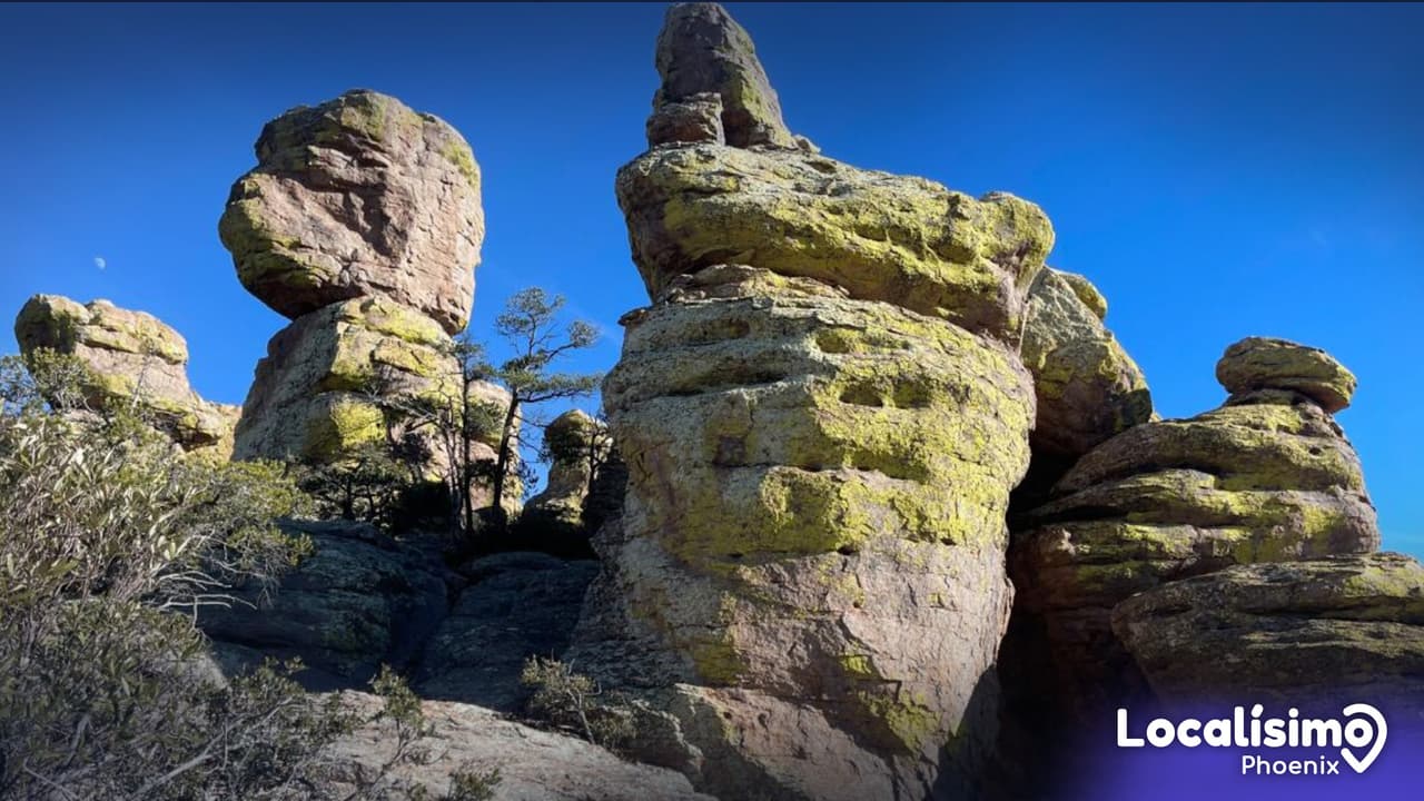 Este bosque de rocas surgió de la erosión de las capas de ceniza depositadas por la erupción del volcán del arroyo Turkey, hace unos 27 millones de años.