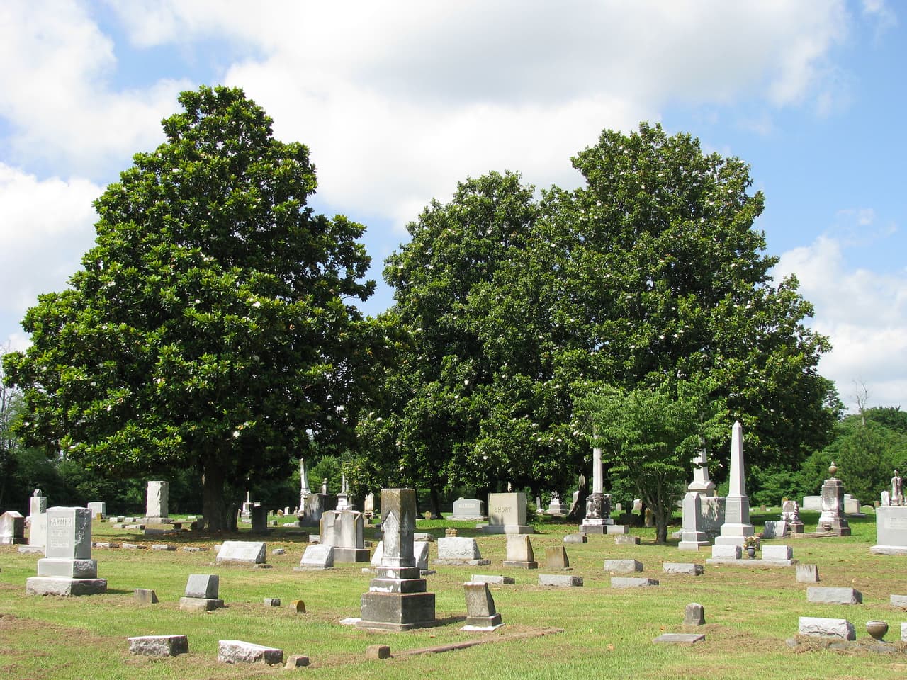 <h3 class="cms-H3-H3">19. Como, Mississippi</h3>
<br>
<br>🏚️ 
<b>Ingreso familiar promedio: </b>$18,341
<br>
<br>🏚️ 
<b>Tasa de pobreza: </b>37.4%
<br>
<br>🏚️ 
<b>Tasa de desempleo promedio en los últimos cinco años:</b> 34.5%
<br>
<br>🏚️ 
<b>Adultos con licenciatura: </b>8.7%
<br>
<br>🏚️
<b> Población: </b>1,919
<br>