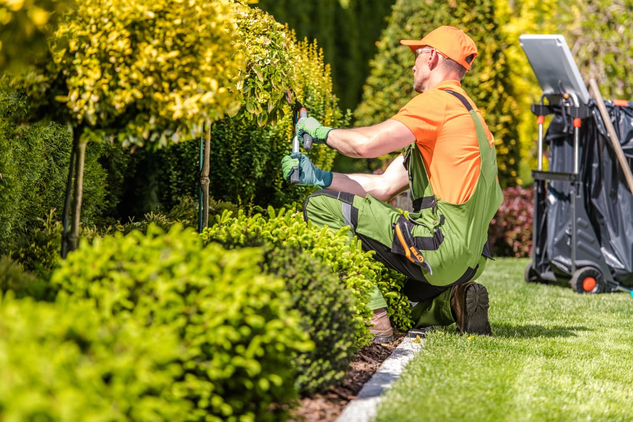 <b>Puesto 11. Trabajadores de jardinería y paisajismo.</b>
<br>
<br>Número de nuevos trabajos proyectados entre 2019 y 2029: 119,900.
<br>
<br>Salario promedio anual (2019): 30,440 dólares.
<br>
<br>Estos empleados se aseguran de que los terrenos alrededor de las casas, negocios y parques sean atractivos, ordenados y saludables.