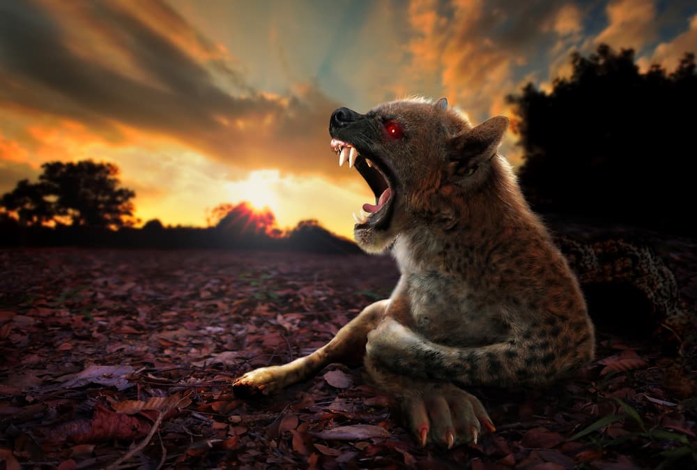 Sin embargo, se ha tratado de justificar su existencia como animales tipo perros, coyotes o lobos salvajes y hasta enfermos de rabia o sarna que destrozan ganado y la falta de evidencia concreta no lo hacen pasar más que de una leyenda urbana.