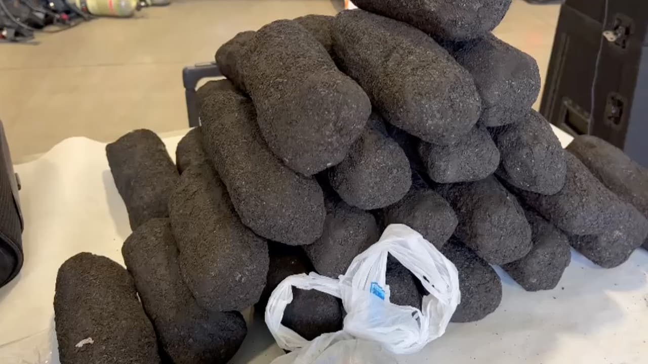 Los detectives también incautaron más de doscientos mil dólares en efectivo, 22 vehículos y 41 armas de fuego durante el operativo donde participaron varias agencias del orden.