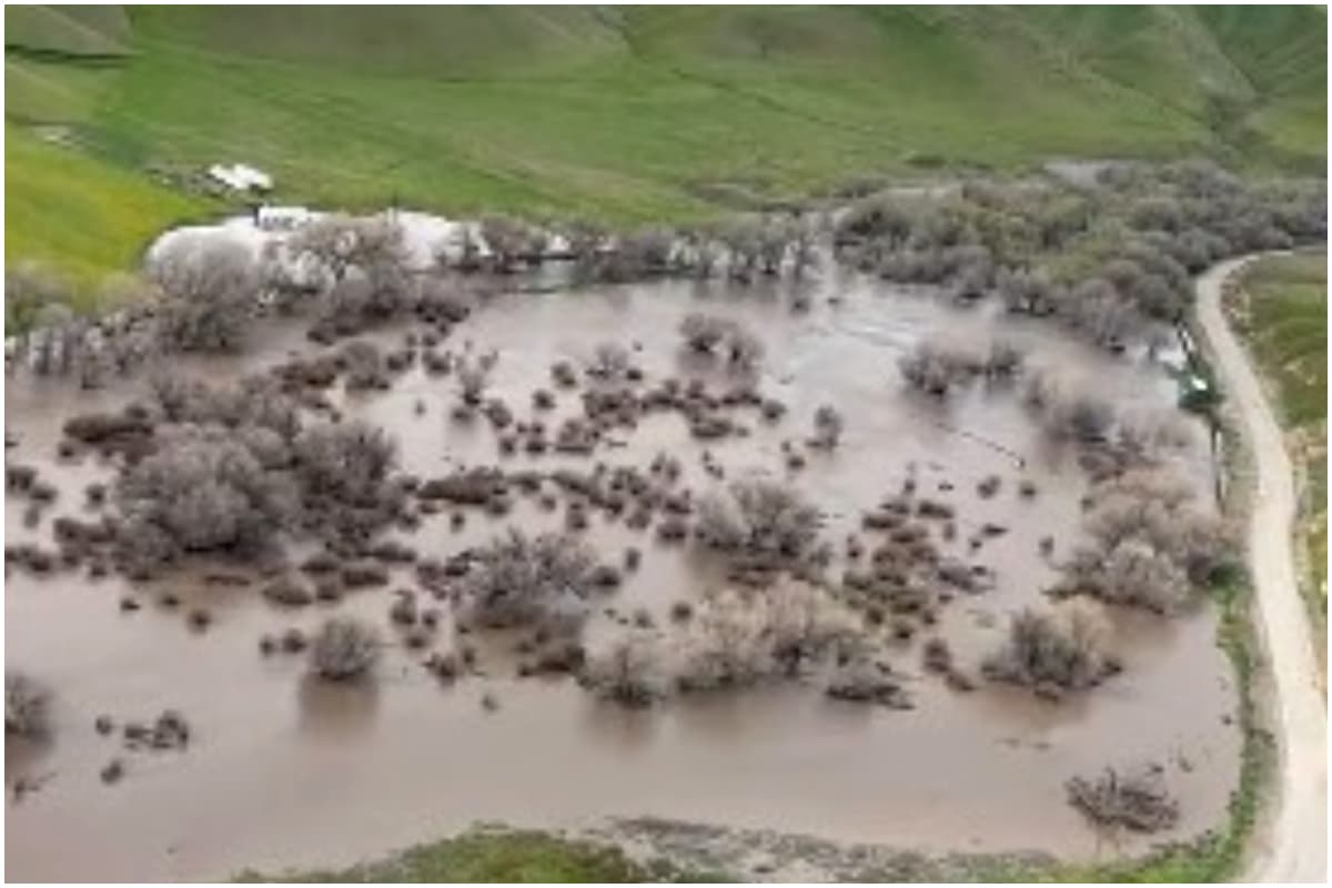 "Ninguna persona debe intentar repoblar un área bajo Orden de Evacuación hasta que se hayan levantado las órdenes", especificó el Departamento de Bomberos.