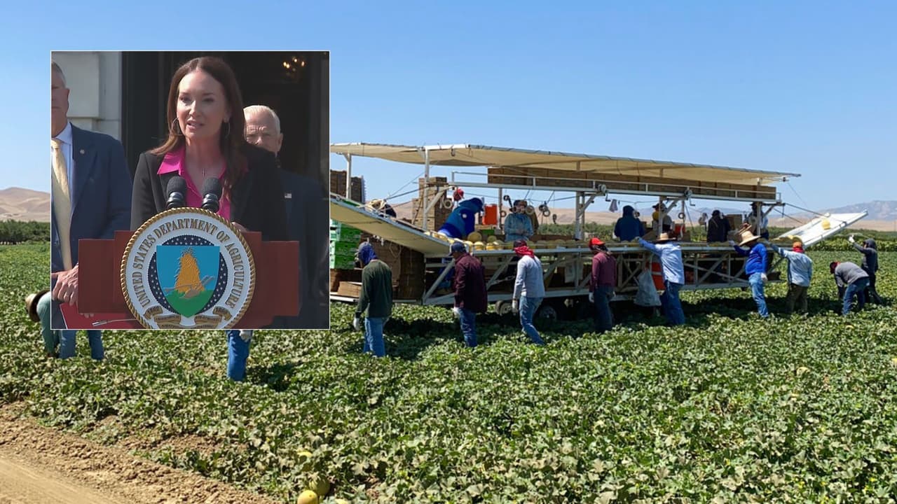 ¿Trabajadores agrícolas podrían ser reemplazados en California? Esto responde líder social