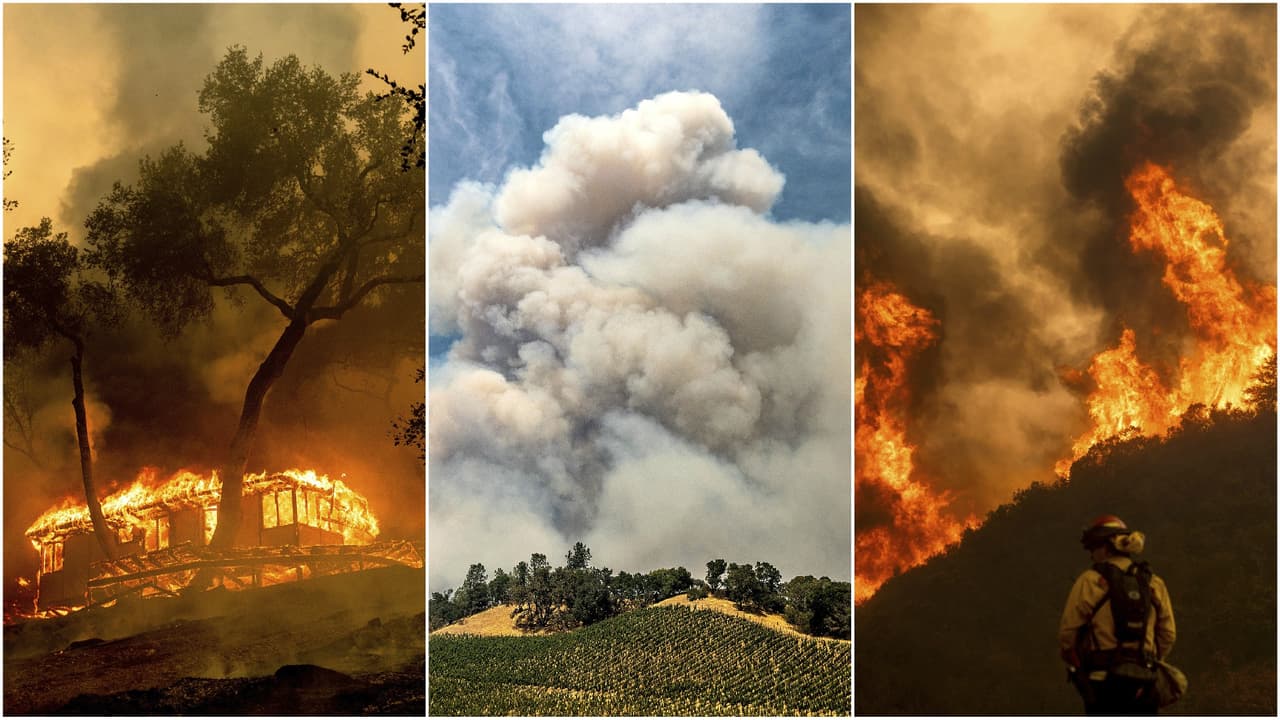 El gobierno federal aportó recursos para enfrentar la emergencia por incendios forestales incontenibles en los meses más calientes del año; con 
<b>vientos de Santa Ana</b> esparciéndolos de forma incontrolable.