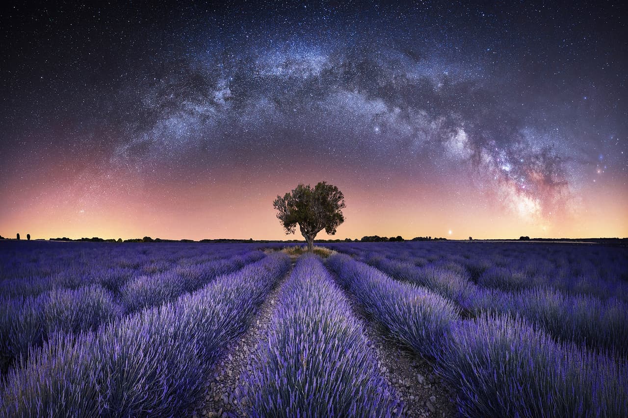 <b>‘Armonía’ </b>
<br>
<br>La imagen muestra un paisaje fascinante de los campos de lavanda en Valensole, Francia, con la Vía Láctea de fondo. También es una combinación de varias fotos del mismo encuadre, que permitieron capturar las diferentes luces y colores de las flores y el espacio. 
<br>
<br>Este año, la competencia recibió más de 4,500 imágenes de entusiastas aficionados y fotógrafos profesionales, tomadas de 75 países.