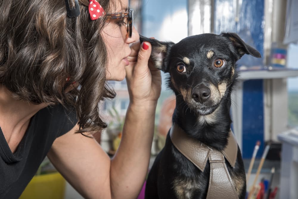 Además, una profecía muy interesante es que habrían avances tecnológicos que permitan a los humanos tener una comunicación más amplia con los animales, para poder entenderlos mejor.