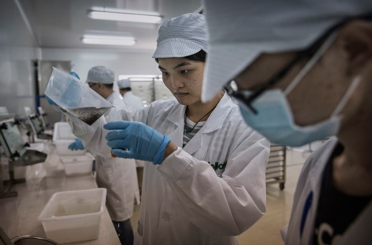 Un equipo de investigadores trabaja desde hace un año en el centro ubicado en Guangzhou.