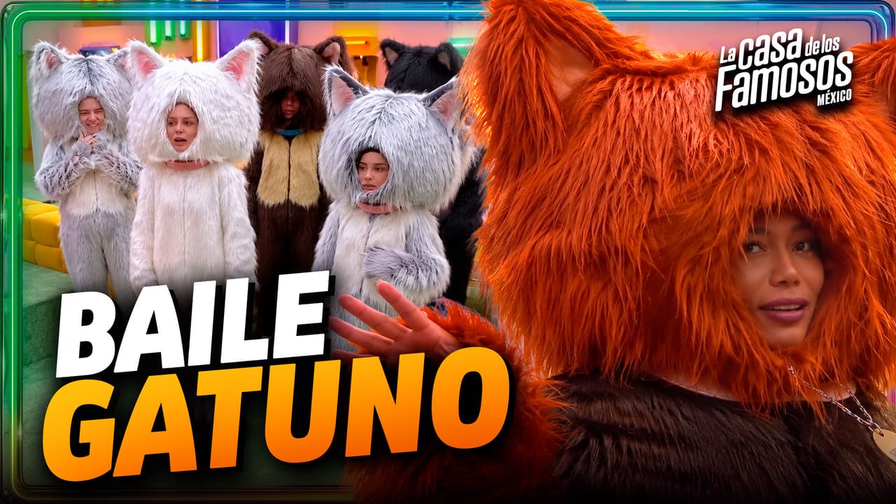 Vestidos de GATOS, los NOMINADOS se tiraron tremenda coreografía para pedir votos