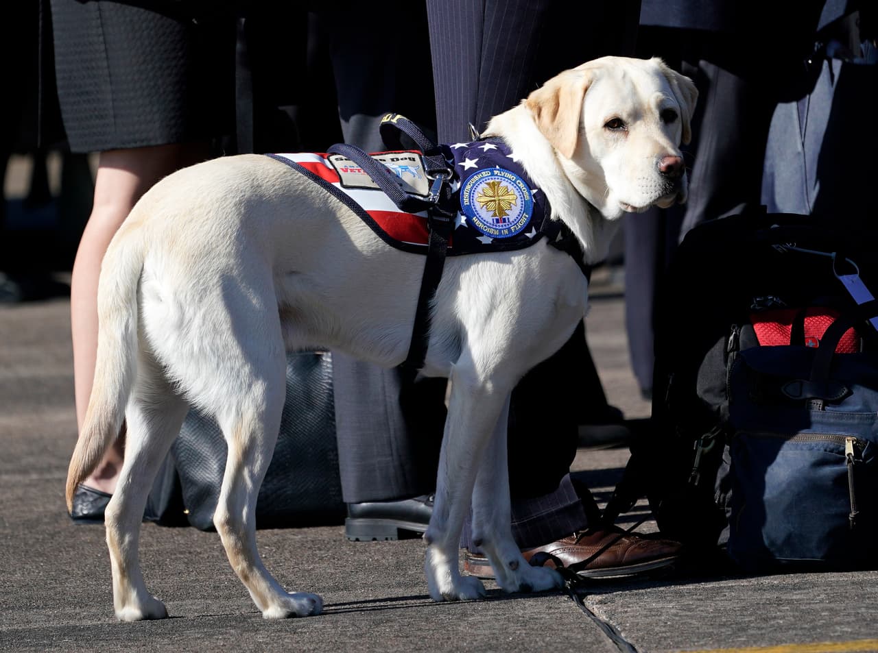 Sully junto a la familia Bush antes de salir de Houston a Washington DC. El perro recibió su nombre en homenaje a
<a href="https://www.univision.com/noticias/chesley-sully-sullenberger-el-piloto-que-acuatizo-en-el-rio-hudson-regresa-a-los-cielos"> <u>Chesley ‘Sully’ Sullenberger III</u></a>, el piloto que aterrizó un avión de pasajeros en el río Hudson en 2009.