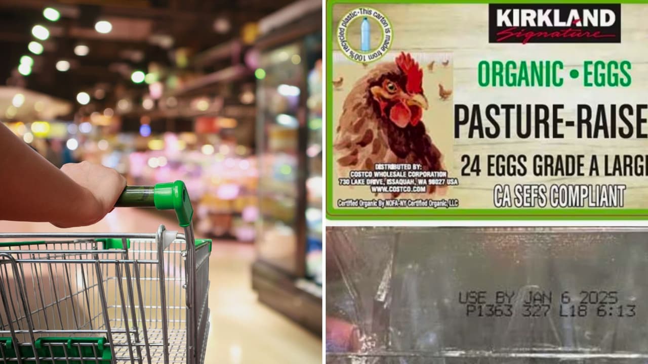 Recall: Costco retira huevos marca Kirkland por riesgo de salmonela, lo que debes saber