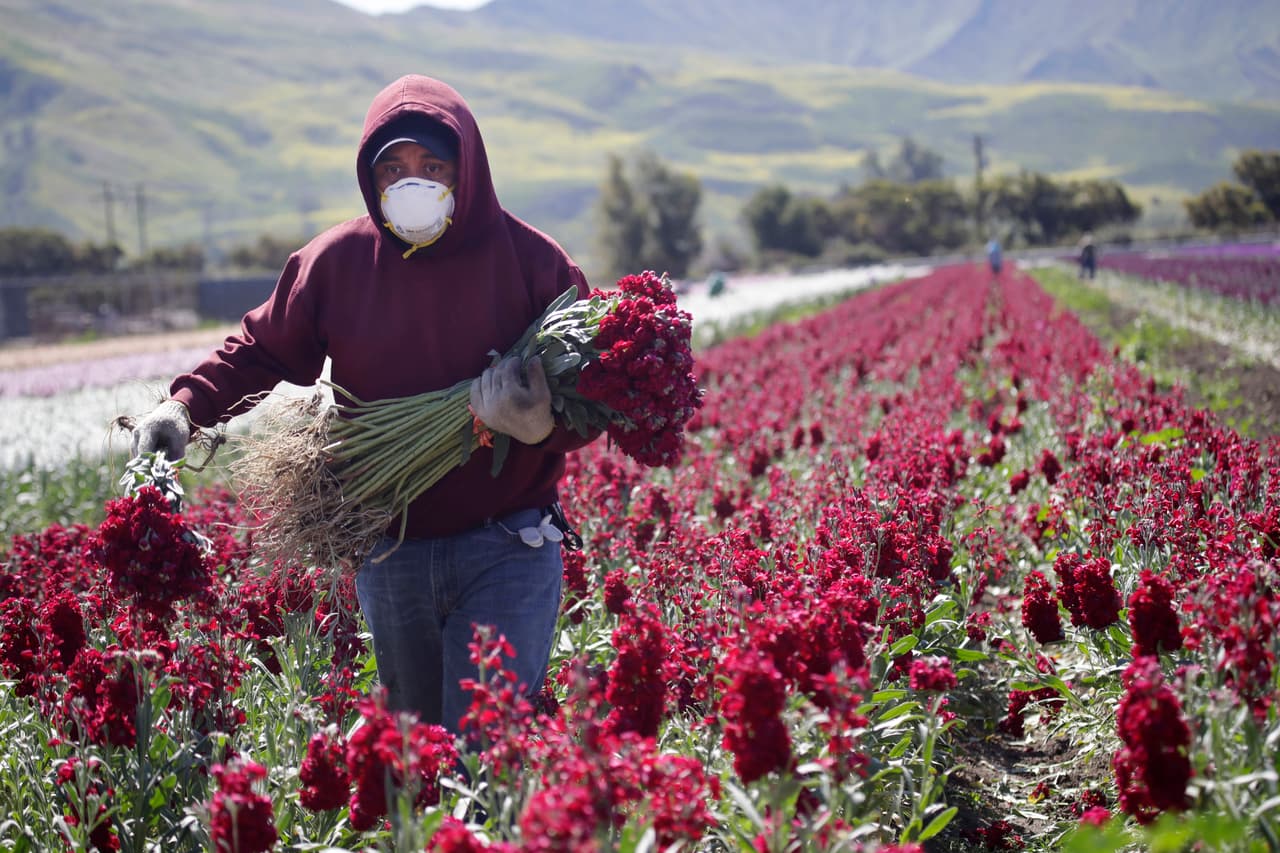 <b>¿Cuándo llegará el dinero? </b>Aún no está claro a partir de cuando las organizaciones comunitarias comenzarán a tener acceso a los recursos, ni cuál será el proceso para que los inmigrantes sin papeles puedan iniciar su solicitud, pero adelantaron que se entregará a quienes hagan las primeras peticiones.