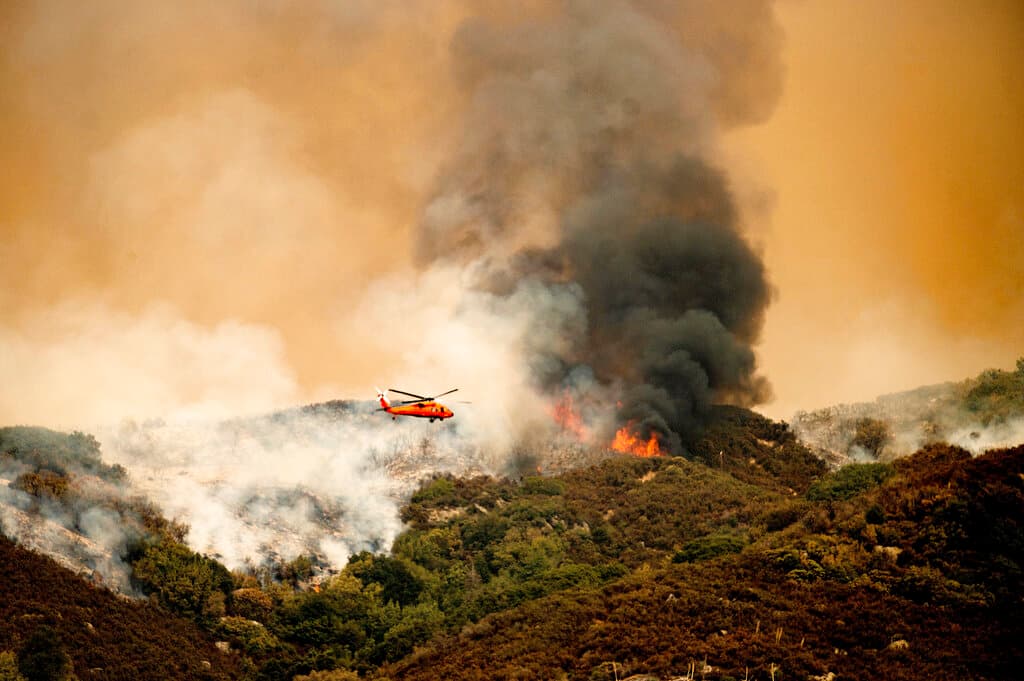 Pero la extraordinaria intensidad de los incendios en las condiciones climáticas actuales podría superar a las secuoyas, como ocurrió en 2020 con el incendio Castle, en el que murieron entre 7,500 y 10,600 secuoyas grandes, según un estudio.