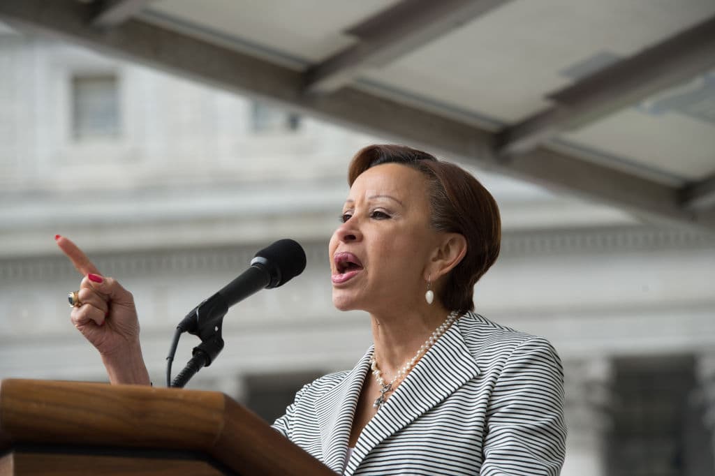 <b>Nydia Velázquez. Distrito 7, Nueva York. </b>Ocupa el cargo desde 2013. Nació en 1951 en Yabucoa, Puerto Rico. Es demócrata ha sido representante del estado de Nueva York en la Cámara Baja del Congreso desde 1993 por el distrito 12 (ahora distrito 7) y fue concejal de la ciudad de Nueva York. El distrito 7 incluye partes de Brooklyn, Queens y Manhattan.