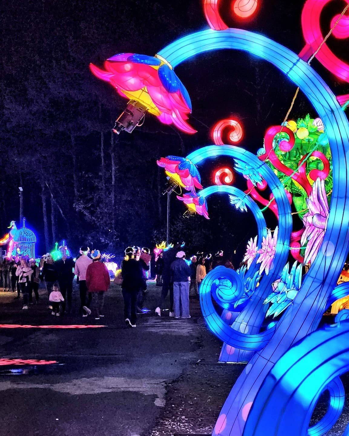 <b>Winter Lantern Festival - Gwinnett</b>
<br>
<b>Fechas</b>: 10 de noviembre – 2 de enero de 2024
<br>
<b>Lugar</b>: Gwinnett County Fairgrounds. 2405 Sugarloaf Parkway. Lawrenceville, GA
<br>
<b>Sitio web</b>: 
<a href="https://winterlanternfestival.com/atlanta/">https://winterlanternfestival.com/atlanta/</a> 
<br>
<br>El evento presenta más de 1,000 linternas y luces chinas hechas a mano repartidas en seis acres, incluido un reino animal, un mundo marino y un parque temático.
