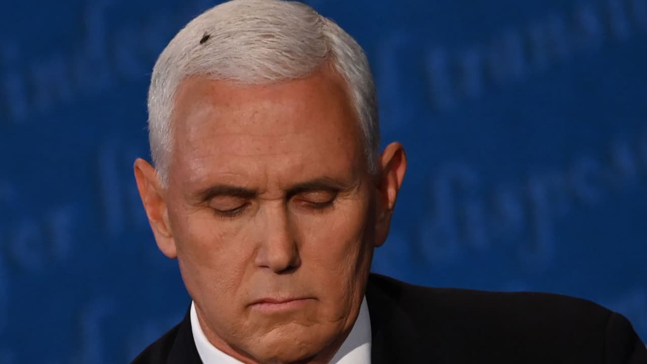 Una mosca le roba protagonismo (y el triunfo en redes) a Harris y a Pence en el debate vicepresidencial