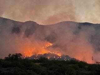 “Las tripulaciones aprovecharán las condiciones climáticas favorables para continuar con las operaciones de agotamiento al sur de Oracle y en el Mt. Lemmon. Como resultado, las comunidades pueden esperar ver humo”, indican funcionarios del Servicio Forestal de Coronado este 20 de junio. 
<br>