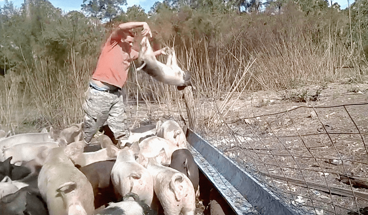 La investigación encubierta arrojó que los animales se les da poca comida y no reciben atención médica. Se ha documentado que los animales muertos de hambre consumen sangre y partes del cuerpo de otros animales sacrificados.