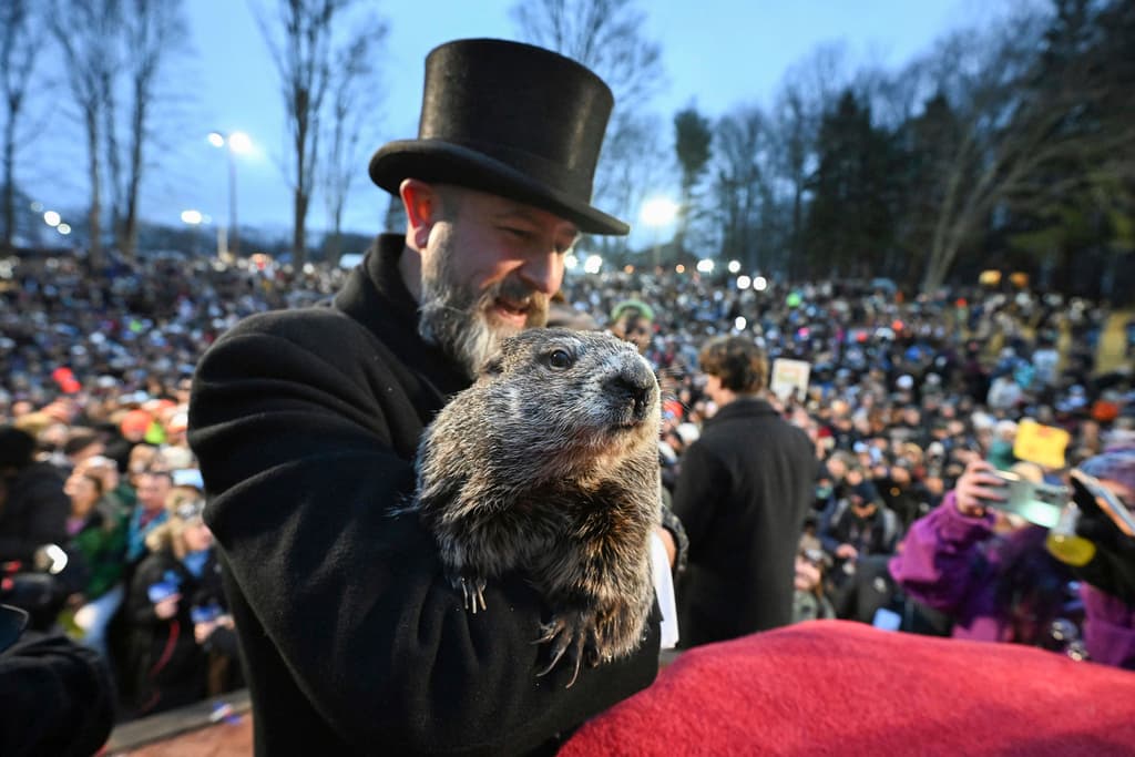 Justo después del amanecer, “Phil” salió y no vio su sombra, lo que marcará el comienzo del clima primaveral. La marmota que ve su sombra presagia seis semanas más de invierno.