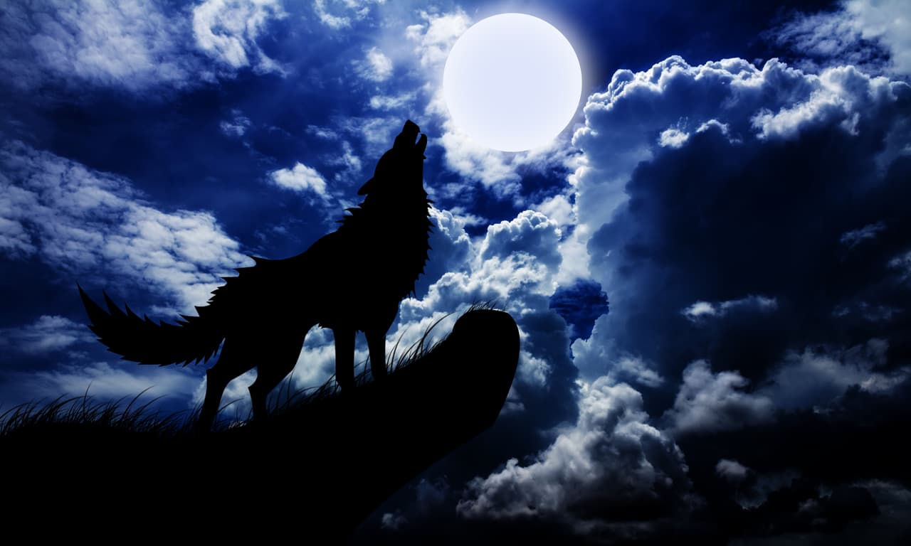 <b><u>Enero, luna del lobo</u></b>
<br>
<b><u>Signo que la rige: Capricornio, y el Buey en el horóscopo chino</u></b>
<br>A la Luna llena de enero los nativos americanos la llamaban “la Luna del Lobo"
<b> </b>por el aullido de los lobos hambrientos que lamentan la escasez de alimento en pleno invierno. 
<br>