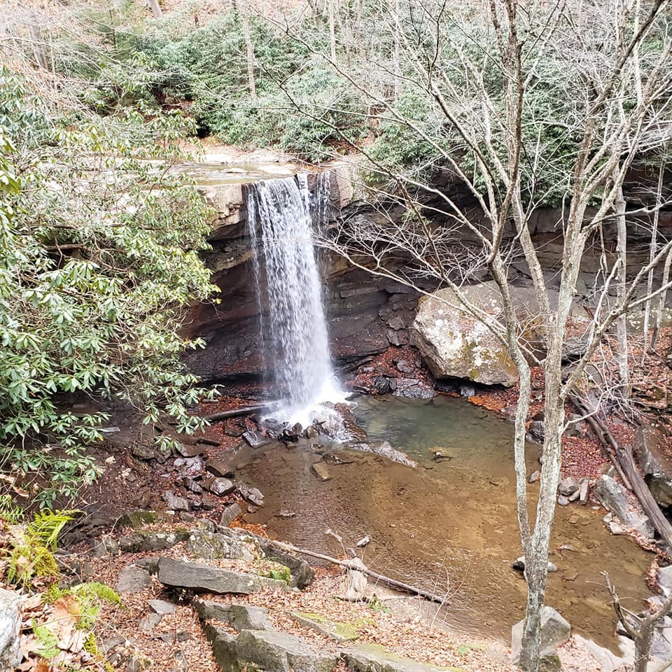 Cuando visites Cucumber Falls, estaciona el automóvil en la pequeña área de estacionamiento en el comienzo del sendero Cucumber Falls. Una vez estacionado, estarás aproximadamente en la parte superior de las cataratas.