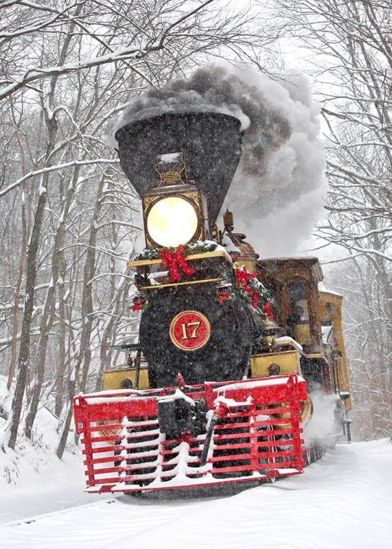 El tren te lleva en un viaje de 45 minutos por el campo del condado de York en una réplica de una máquina de vapor de la época de la Guerra Civil antes de desembarcar en Bricker Tree Farm.