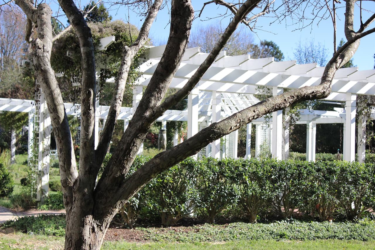 <h3 class="cms-H3-H3">16. Fearrington Village, Carolina del Norte</h3>
<br>
<br>📖 
<b>Media de edad: </b>73.0 años.
<br>
<br>📖 
<b>Población que asiste a la universidad: </b>4.9%
<br>
<br>📖 
<b>Población menor de 18 años:</b> 2.8%
<br>
<br>📖 
<b>Población mayor de 65 años:</b> 74.8%
<br>
<br>📖
<b> Población:</b> 2,693 habitantes. 
<br>
