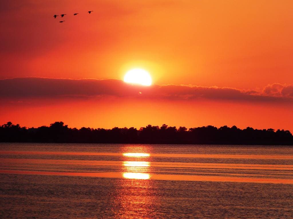 <b><a href="https://www.fws.gov/refuge/mattamuskeet">Lake Mattamuskeet</a></b>. El lago Mattamuskeet es el lago natural más grande de Carolina del Norte. Tiene un promedio de solo dos a tres pies de profundidad, pero tiene 18 millas de largo y 7 millas de ancho, y contiene alrededor de 40,000 acres. Se permite la navegación y la pesca deportiva de lubina, lubina rayada, bagre y otras especies en el lago y los canales adyacentes desde el 1 de marzo hasta el 1 de noviembre de cada año.
<br>
<br>
<b><a href="https://goo.gl/maps/wJonUiyC4E9h7pEw9">Cómo llegar</a></b>