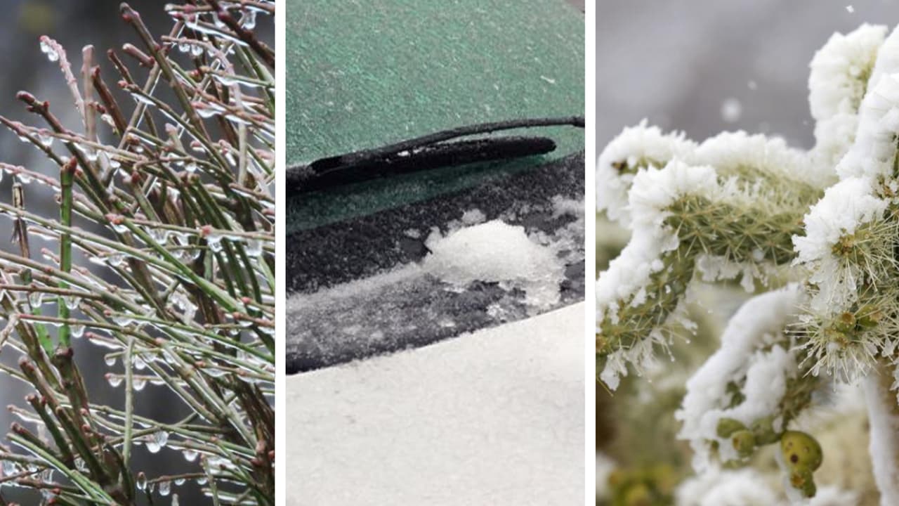 Identificar los tipos de precipitaciones invernales que caen en la atmósfera puede ser de gran utilidad. El meteorólogo Gastón Heredia dice cuál es la diferencia entre nieve, aguanieve o lluvia congelante.