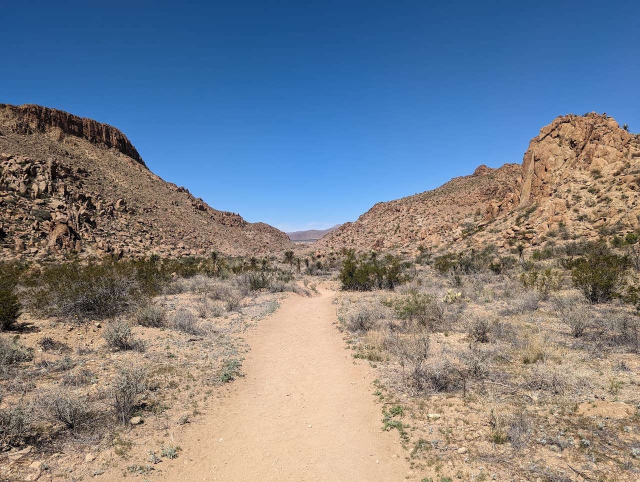 Adolescente muere en calor extremo de parque nacional de Texas; padrastro también fallece al chocar cuando buscaba ayuda