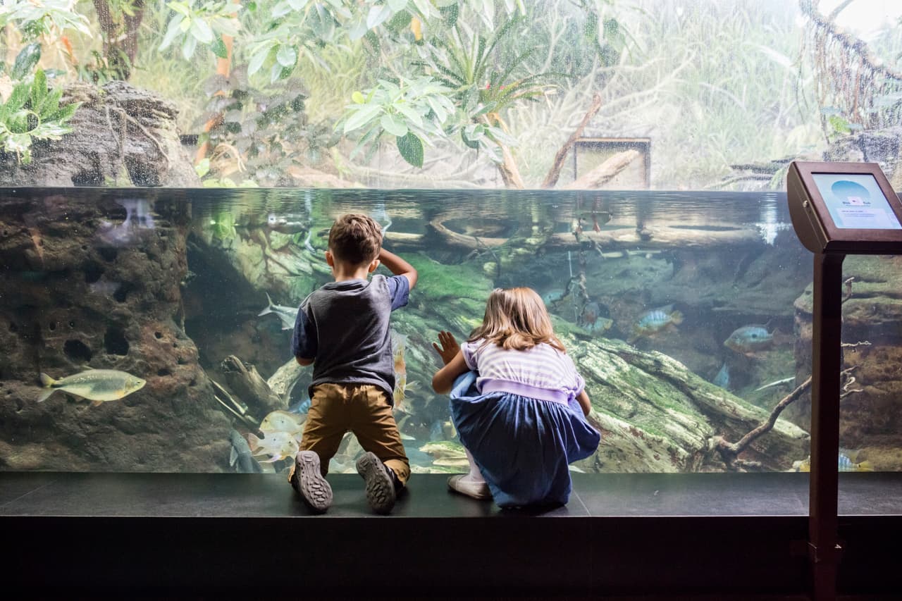 Cada año, el acuario recibe a cerca de 2 millones de visitantes.