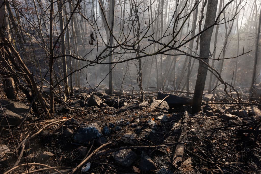 La Ciudad de Nueva York ha respondido a múltiples incendios durante la pasada semana, siendo el más reciente en Brooklyn, el viernes en la noche. El olor del humo se mantuvo en la zona.