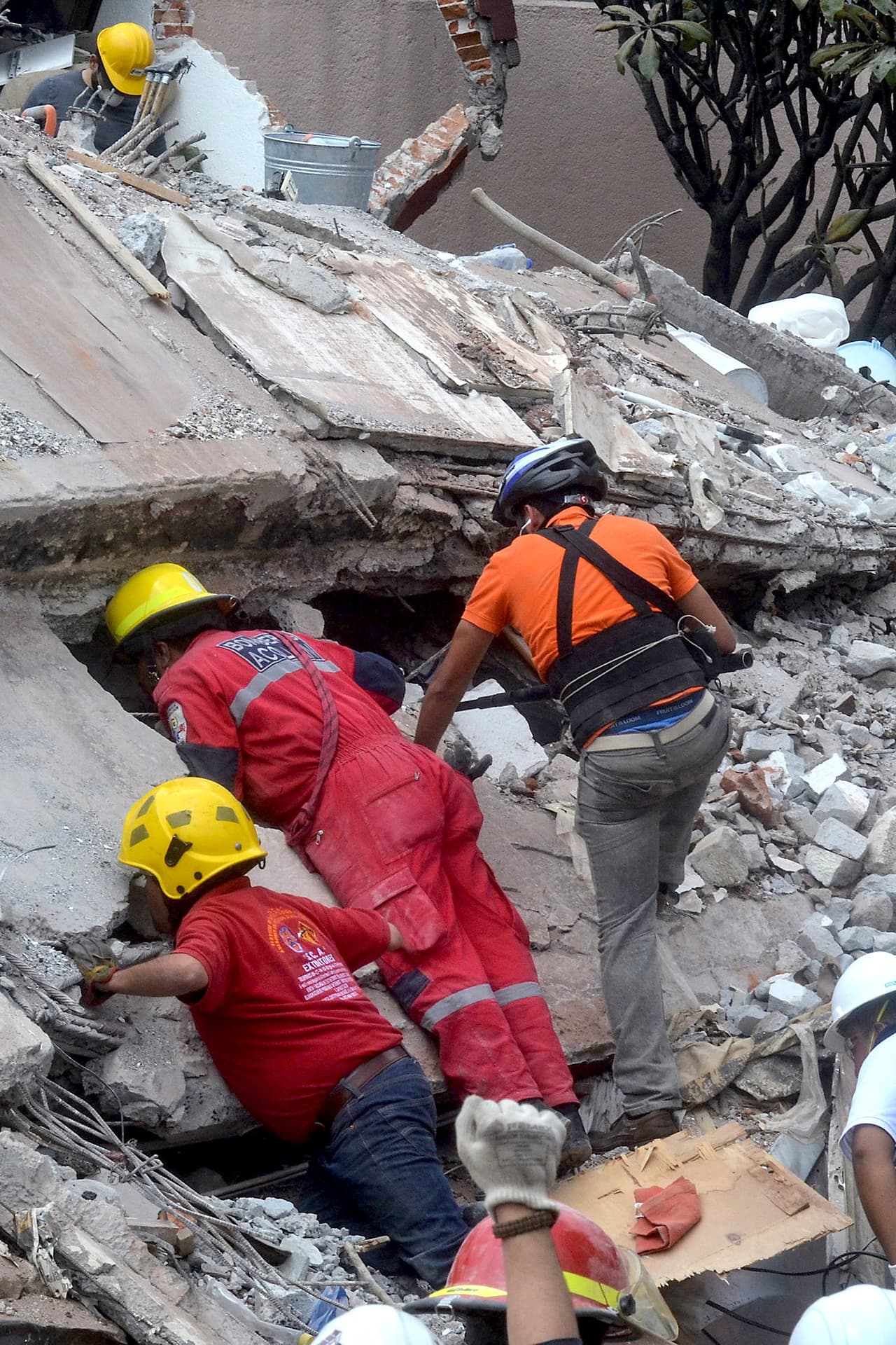 Tras el terremoto que azotó a la Ciudad de México el pasado 19 de septiembre en punto de la 1:14 pm, y que dejó varios edificios derrumbados, así como vidas perdidas, las famosas no perdieron tiempo y se unieron para apoyar a la población que lo había perdido todo, dejando el glamour a un lado y mostrando el amor por su país.