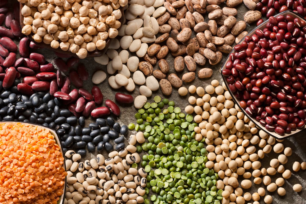 <h3 class="cms-H3-H3">Frijoles</h3>
<br>
<br>Los frijoles contienen kaempferol. Además, son ricos en proteína vegetal, fibra, vitaminas del grupo B, hierro, ácido fólico, calcio, potasio, fósforo y zinc.