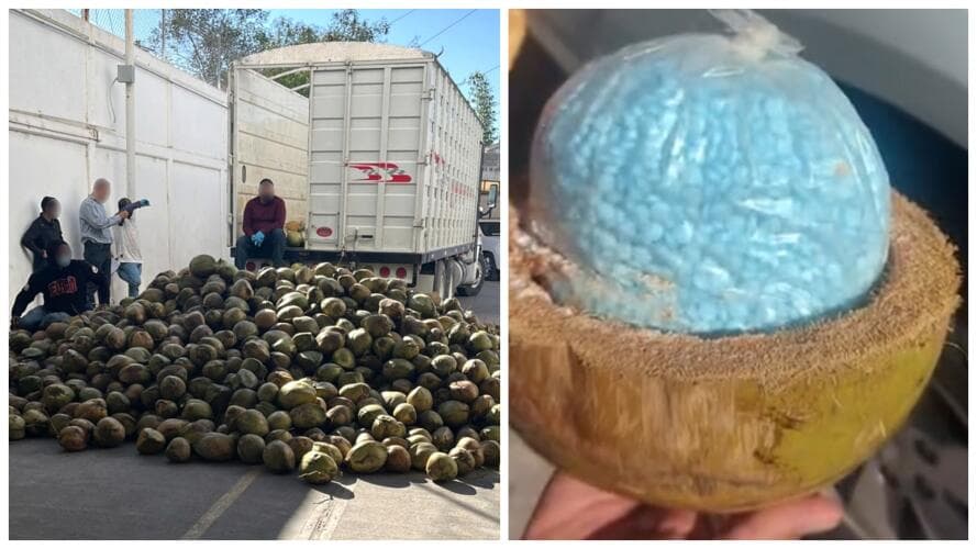 A principios de diciembre, la Fiscalía General de la República (FGR, México) informó del hallazgo de 300 kilogramos de fentanilo, con valor de 60 millones de dólares. Las pastillas estaban en bolsas plásticas, 
<a href="https://www.univision.com/local/arizona-ktvw/cocos-rellenos-fentanilo-sonora-mexico-estados-unidos" target="_blank">escondidas dentro de cocos partidos por la mitad</a>.