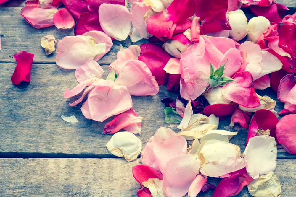 También, consigue pétalos de rosas, de preferencia blancos, rojos o rosas.