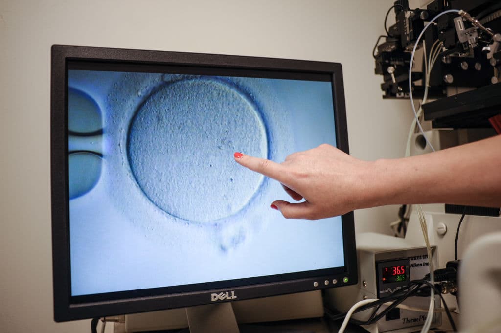Querían un hijo, usaron fertilización in vitro, pero terminaron abortando y demandando a sus doctores