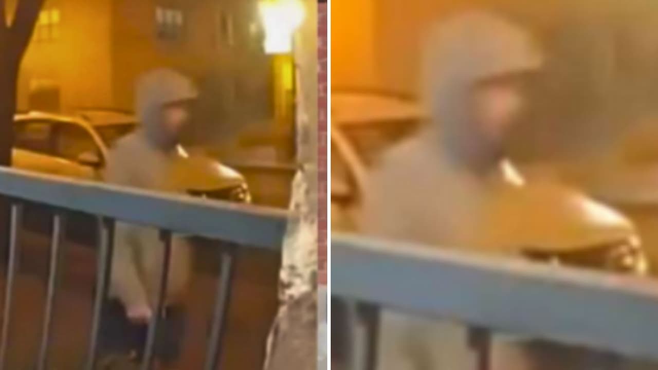 El caso había movilizado a las autoridades, que pidieron la ayuda del público para identificar al sospechoso. Según la descripción proporcionada por la 
<a href="https://dallaspolice.net/home" target="_blank">Policía de Dallas</a>, se trataba de 
<b>un hombre de entre 25 y 30 años, de ascendencia blanca o hispana, con una estatura de entre 5’8” y 5’11” (1.73 y 1.80 metros)</b>, 
<b>complexión delgada y cabello oscuro.</b>