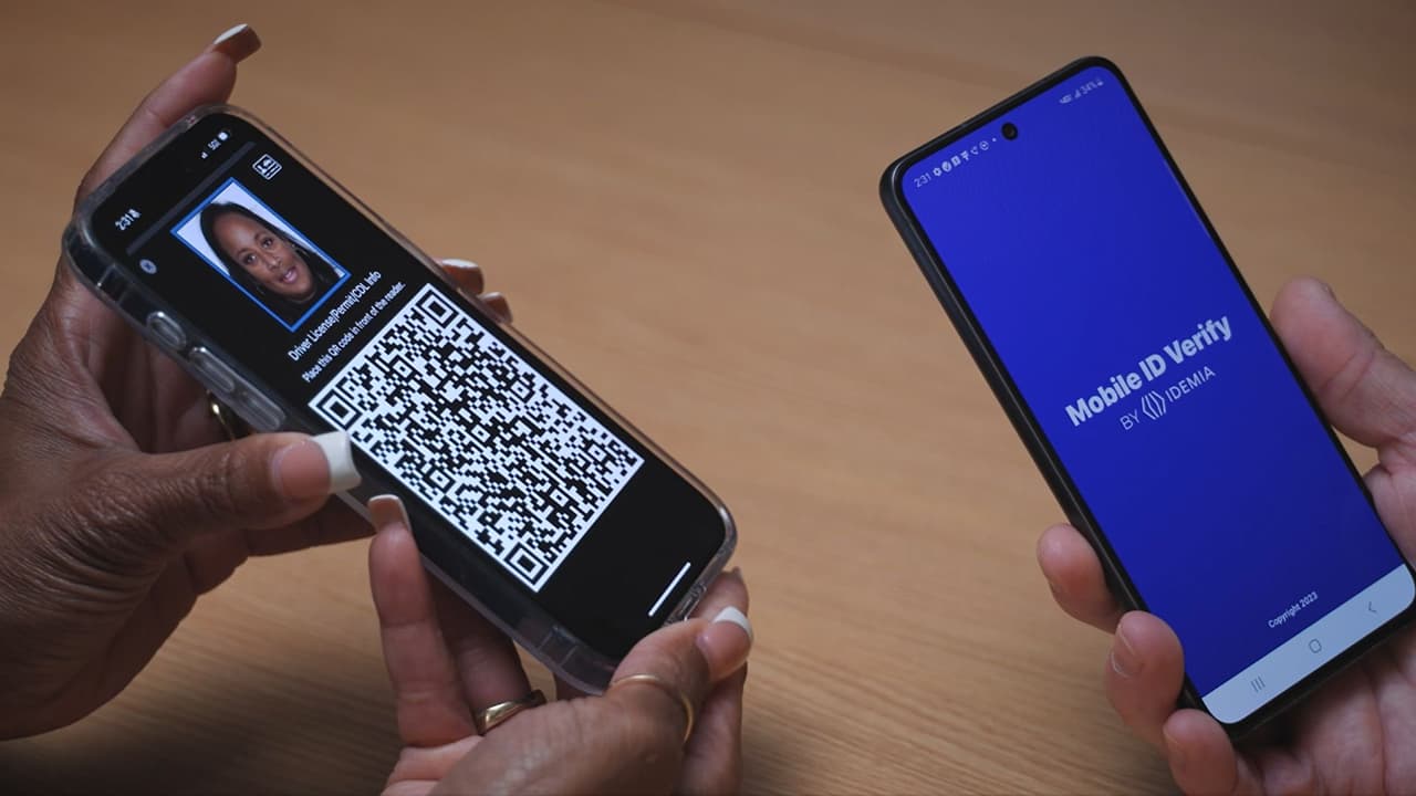 Aseguran que más de 100,000 utilizan nueva licencia digital de NY; así la puedes obtener