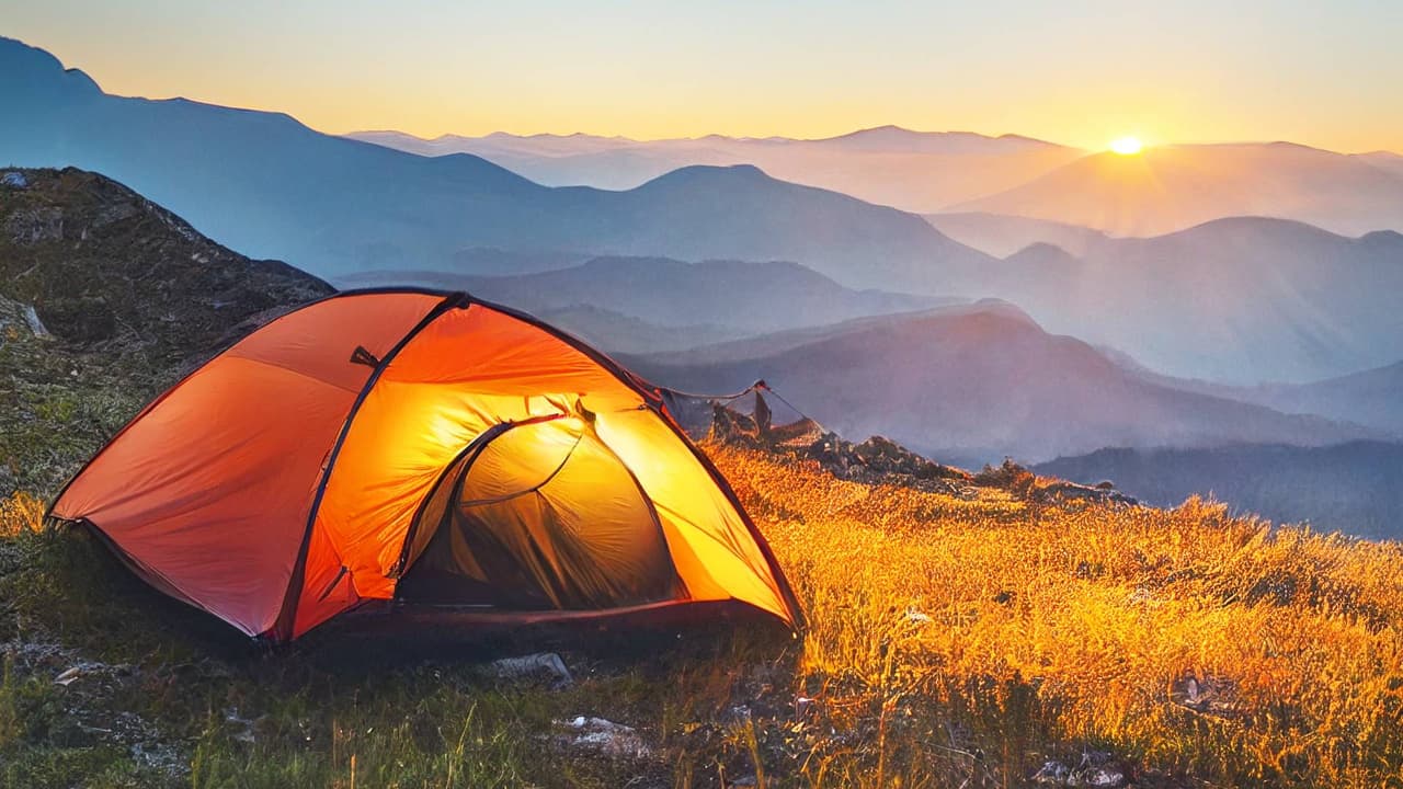 Tras acampar en Flagstaff, mujer vuelve a Phoenix con síntomas de peste bubónica