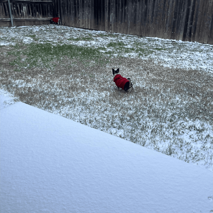 La tormenta invernal trajo una densa capa de nieve que cubrió la ciudad y varias zonas del centro de Texas. 
<br>
<br>Usuarios de Univision enviaron las imágenes de cómo vivieron la primer nevada del 2025.