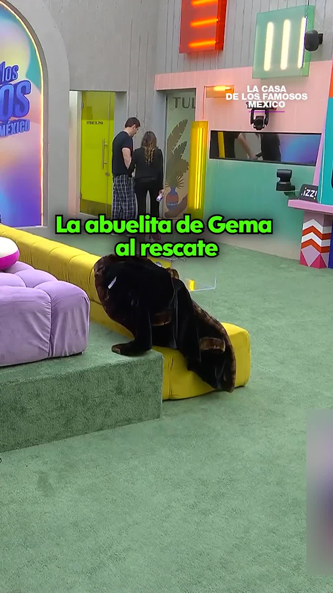 Memo QUIERE RESCATAR una araña pero la abuela de Gema resuelve de inmediato