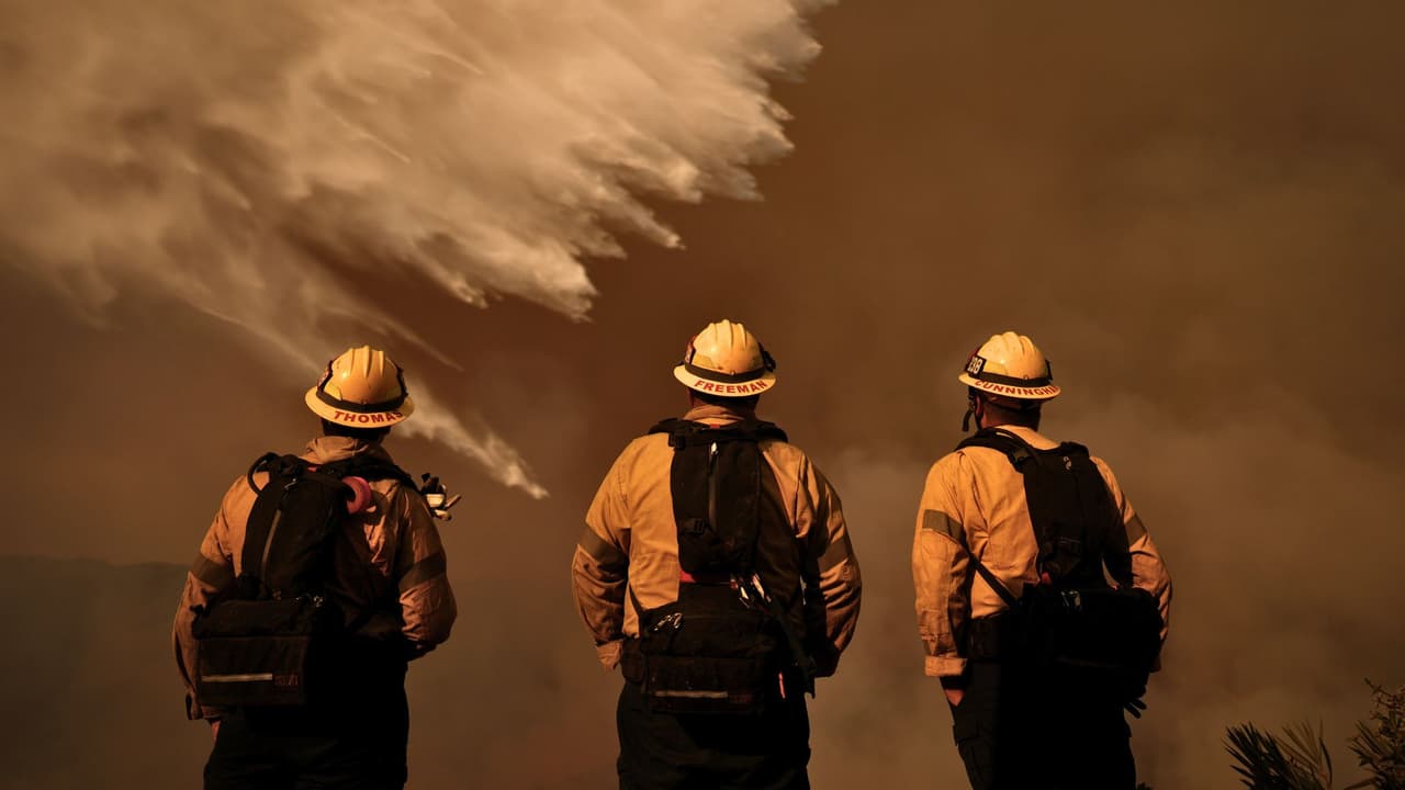 <h3 class="cms-H3-H3">El alcance del apoyo tejano en California </h3>
<br>El despliegue incluye a 
<b>más de 135 bomberos, personal médico y de gestión de emergencias de diversas agencias tejanas</b>, como el 
<a href="https://ticc.tamu.edu/IncidentResponse/tier3_tifmas.aspx" target="_blank">Sistema de Ayuda Mutua de Incendios Intraestatales de Texas (TIFMAS</a>) y la 
<a href="https://www.dshs.texas.gov/es/dshs-ems-trauma-systems" target="_blank">Fuerza de Tareas Médicas de Emergencia de Texas</a>. Además, se están enviando 
<b>más de 45 vehículos especializados, entre ellos camiones de bomberos, ambulancias y vehículos de comando, junto con equipos esenciales para las operaciones</b>.