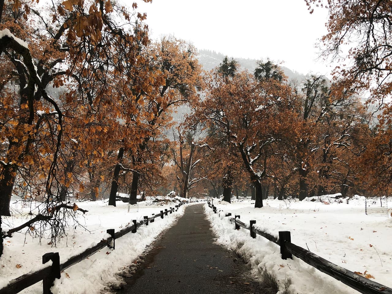 El Parque Nacional Yosemite anunció que se adherirá a la orden de quedarse en casa, por lo que el recinto reducirá sus horas de atención a público a partir del lunes al mediodía y no permitiá los campamentos durante la noche
<b><a href="https://www.facebook.com/YosemiteNPS/photos/a.156902234358067/3573788039336119/" target="_blank">. El parque abrirá de 8 am a 5pm diariamente </a></b>