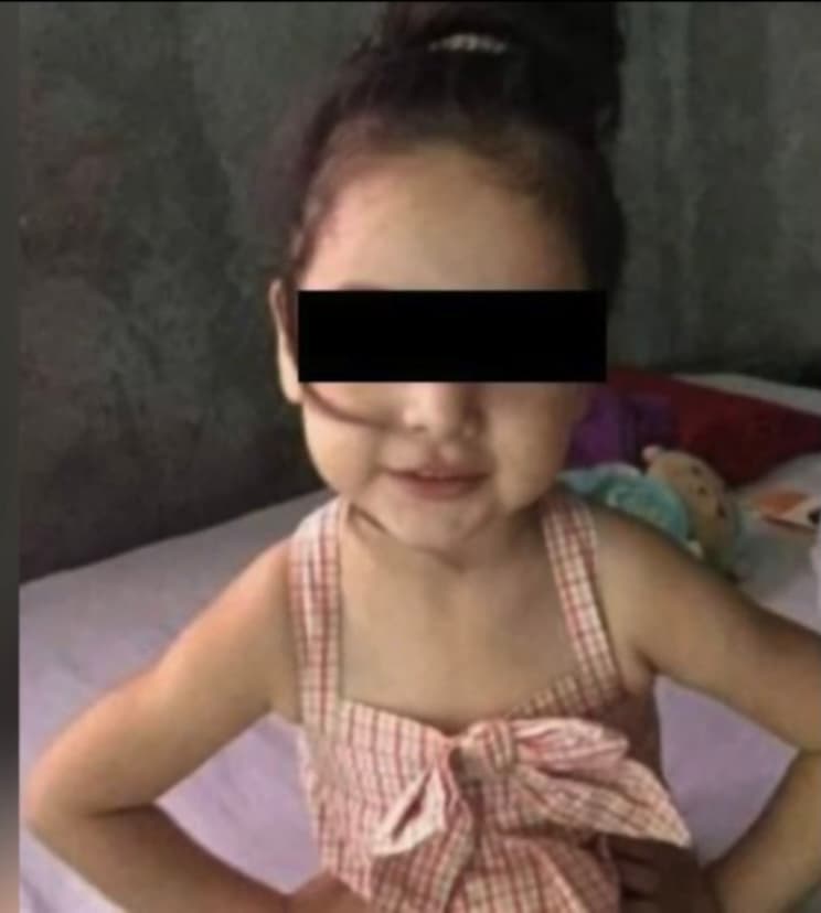 Tras quedarse pasmado entre las huellas de violencia pasada -producto de quemaduras-, el cráneo desfigurado y los golpes por todo su cuerpo de tan solo 
<a href="https://www.univision.com/temas/menores-de-edad">tres años</a>, el oficial supo que 
<b>se encontraba ante lo más fuerte que le había pasado</b> y se prometió que no descansaría hasta darle justicia a la niña.
<b> </b>