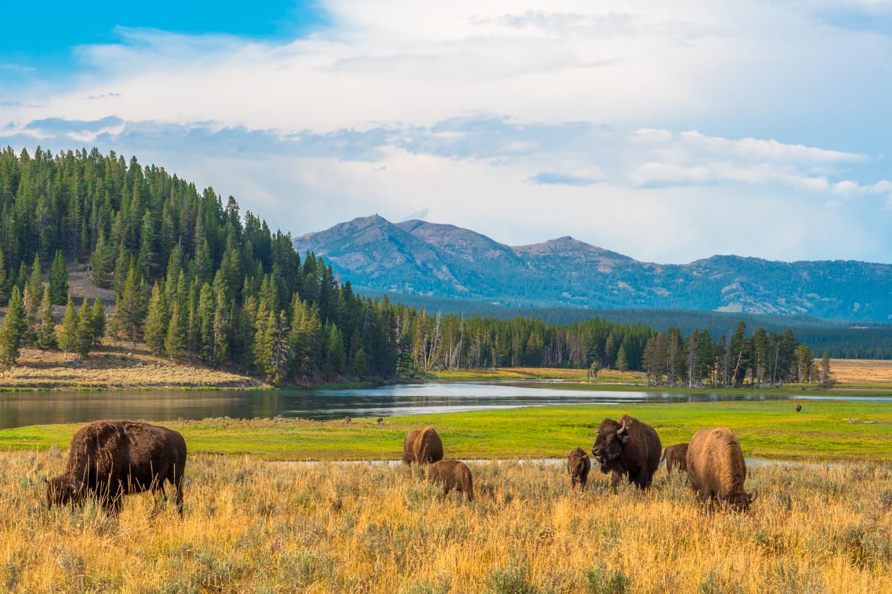 <h3 class="cms-H3-H3">2. Wyoming</h3>
<br>
<br>🌡️
<b> Cambio en la temperatura promedio de 1895 a 2021:</b> +15.0%
<br>
<br>🌡️ 
<b>Temperatura promedio 2021: </b>43.6º F (6.4 ºC).
<br>
<br>🌡️ 
<b>Temperatura promedio 1895: </b>37.9º F (3.2º C).
<br>