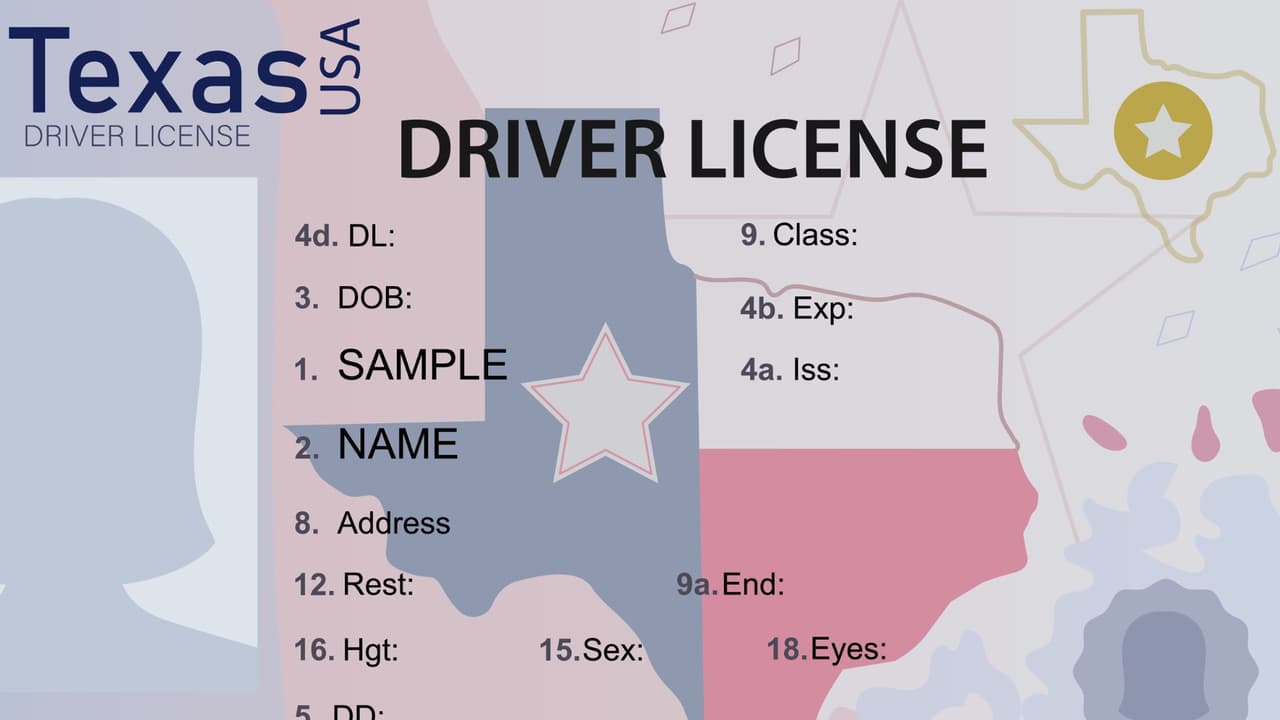 <h3 class="cms-H3-H3">Consejos clave para evitar problemas </h3>
<br>
<b>✅ Lleva siempre tus documentos migratorios válidos:</b> Tener una licencia o REAL ID no sustituye a tu Green Card, EAD u otros papeles de inmigración. 
<br>
<b>✅ No muestres copias o fotos:</b> Siempre lleva el documento original. 
<br>
<b>✅ No supongas que la policía o TSA pueden saber tu estatus por tu licencia:</b> Tu ID con REAL ID no dice si eres ciudadano o no. 
<br>
<b>✅ Infórmate según tu estatus:</b> Si tienes TPS o DACA, verifica cuándo debes renovar tu permiso de trabajo, ya que tu REAL ID puede expirar el mismo día.
<br>✅ Si viajas dentro de Estados Unidos y no tienes REAL ID, 
<b>lleva tu pasaporte vigente.</b>